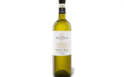 Flasche hellgrünen Weins, "Vernaccia di San Gimignano" von Podere Macinatico, ein toskanischer Wein aus Italien.
