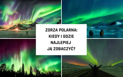 Widok na zorzę polarną, kiedy jest zielona i fioletowa nad ośnieżonymi górami i lasami.