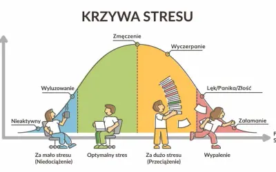 Krzywa stresu pokazuje, jak rozładować stres u nastolatków. Od niedociążenia, przez optymalny stres, po przeciążenie i wypalenie.