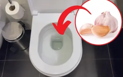 Czosnek na zatoki? Strzałka wskazuje na muszlę klozetową, sugerując nietypowe zastosowanie czosnku.