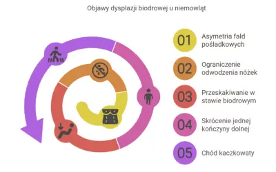 Grafika przedstawia objawy dysplazji biodrowej u niemowląt: asymetrię fałd, ograniczenie odwodzenia, przeskakiwanie w stawie, skrócenie kończyny i chód kaczkowaty.