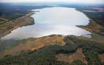 Rozległe jezioro otoczone lasem i trzcinami. Woda lśni, sugerując głębię i potencjalną termoklinę.