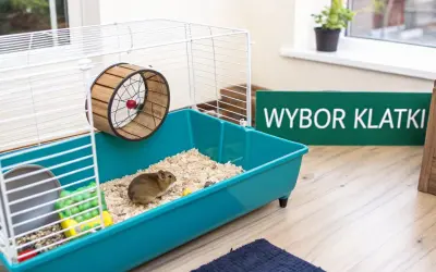 Chomik w klatce z kołowrotkiem. Zastanawiasz się, dlaczego chomik gryzie klatkę? Może potrzebuje więcej przestrzeni lub zabawek.