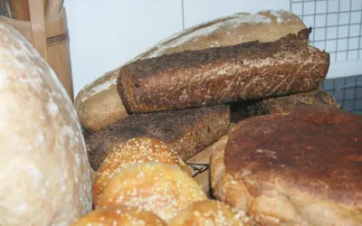 Różnorodne bochenki chleba, w tym ciemne żytnie i jasne pszenne. Zastanawiasz się, jaki chleb jest najzdrowszy? Oto kilka opcji do wyboru.