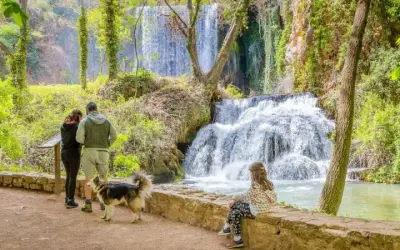 ¿Qué hacer cerca de Zaragoza? Escapadas de día y fin de semana