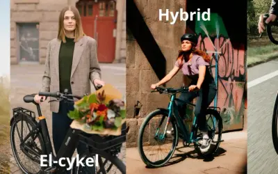 En person cyklar på mtb leder i skogen. En annan person på elcykel med blommor. En hybridcykel och en racer på vägen.
