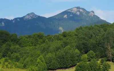 Wielki Chocz góruje nad zielonym lasem.