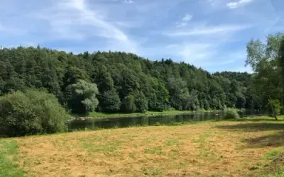 Gdzie na spacer z psem w Podkarpackiem? Odkryj najlepsze miejsca