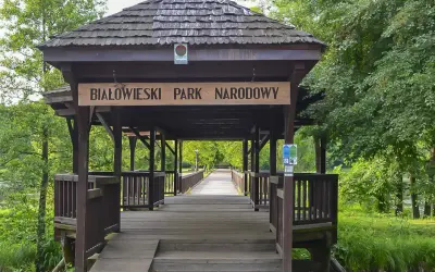 Drewniany mostek prowadzi do Białowieskiego Parku Narodowego. Ciekawostki o przyrodzie czekają za zielonymi drzewami.