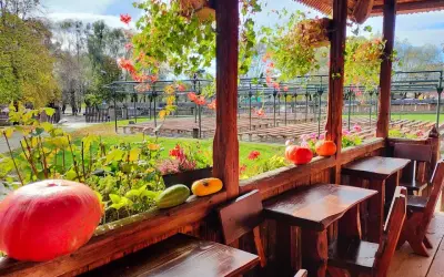 Gdzie zjeść w Sanoku? Odkryj najlepsze restauracje i smaki regionu