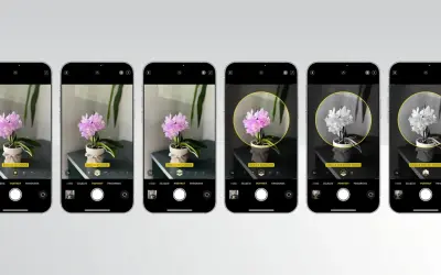 Sześć ekranów iPhone'a z różnymi efektami oświetlenia portretowego, w tym tryb nocny.