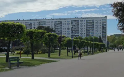 Spacerem po Gdańsku Żabiance, wzdłuż alei drzew i zieleni, podziwiając architekturę bloków mieszkalnych.
