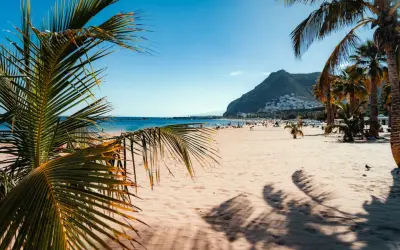 Słoneczne plaże Teneryfy z palmami w tle i górami. Idealne miejsce na relaks.