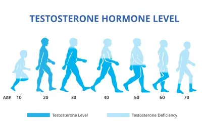Zaburzenia hormonalne u mężczyzn objawy – nie ignoruj tych sygnałów