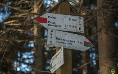 Rozdroże szlaków PTTK. Wskazówki kierują do Hali Krupowej (15 min), Przełęczy Krowiarki (2h 30 min) i Policy (30 min).