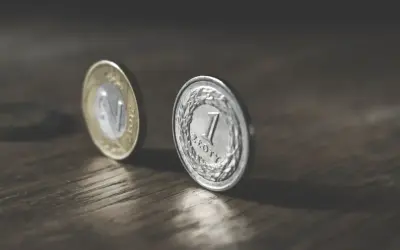 Monety na drewnianym blacie. Zastanawiasz się, ile to netto, gdy zarabiasz 6500 zł brutto?