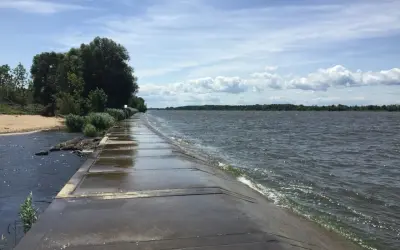Betonowa ścieżka wzdłuż falującej wody, z piaszczystym brzegiem i drzewami po lewej. To malownicze ujście Wisły.