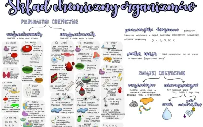 Schemat przedstawia budowę chemiczną organizmów, dzieląc pierwiastki na mikro- i makroelementy, a związki na organiczne i nieorganiczne.