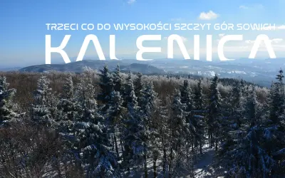 Zimowy krajobraz Gór Sowich widziany z wieży widokowej na Kalenicy. Śnieg pokrywa drzewa i doliny.