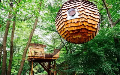 Une cabane sphérique en bois suspendue dans les arbres, à côté d'une autre cabane sur pilotis. Une balade insolite dans la nature.