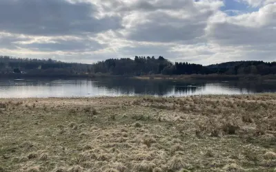 Ein ruhiger Blick auf den Krombachtalsperre Rundweg mit bewaldeten Ufern und einem Himmel voller Wolken.
