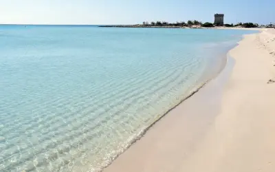 Turquoise water laps a sandy beach with a distant tower.