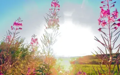 Jaka pogoda dzisiaj w Ustce? Sprawdź, co cię czeka na dziś
