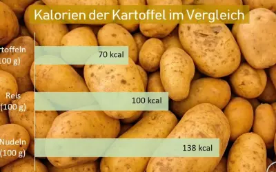Vergleich: Kartoffel (70 kcal/100g) vs. Reis (100 kcal/100g) und Nudeln (138 kcal/100g). Kartoffel kalorien sind am niedrigsten.