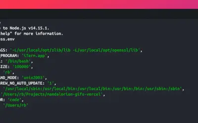 Terminal affichant les variables d'environnement de Node.js, incluant `process.env`, dans un environnement de développement.