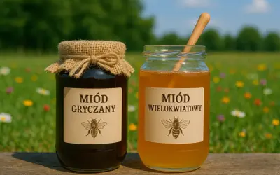 Dwa słoiki miodu na tle łąki. Czy miód wielokwiatowy jest dobry? Tak, jest pyszny i naturalny!