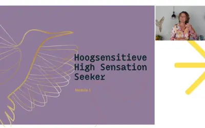 Wat is HSS? Een introductie tot Hoogsensitieve High Sensation Seekers, met een vogel en een vrouw die uitleg geeft.