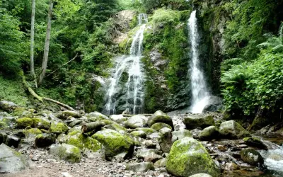 La cascade du Heidenbad dévale une falaise rocheuse verdoyante, entourée d'une forêt luxuriante. Des rochers moussus bordent le cours d'eau en contrebas.