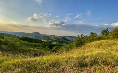 Dolci colline di Parma sotto un cielo azzurro con nuvole bianche. L'erba dorata ondeggia al vento, abbracciando la vegetazione lussureggiante.