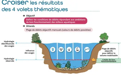 Schéma illustrant les débits d'une rivière, avec une loche poisson nageant près du fond.
