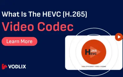 Dowiedz się więcej o kodeku HEVC (H.265), który zapewnia wysoką wydajność kodowania wideo.