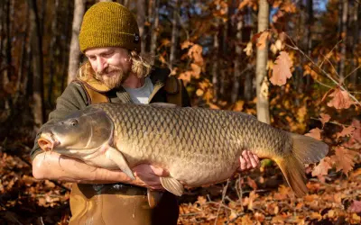 Glücklicher Angler hält stolz einen riesigen Karpfen im Herbstwald. Ein erfolgreicher Tag beim Karpfen angeln im Herbst.