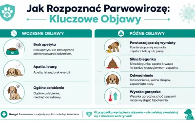 Wczesne i późne objawy parwowirozy u psów: brak apetytu, apatia, wymioty, biegunka, odwodnienie, gorączka.