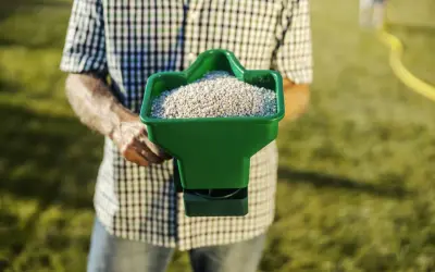Mężczyzna w kratę trzyma zielony rozsiewacz z nawozem, gotowy do pracy. To klucz do tego, jak siać trawę na starym trawniku, by odzyskał dawny blask.