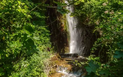 Cascate del Menotre, un'oasi verde dove l'acqua scende tra rocce e vegetazione lussureggiante, creando un paesaggio incantevole.