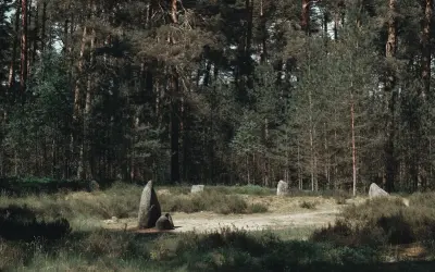 Kamienne kręgi w lesie, tajemniczy szlak kamiennych kręgów, gdzie historia splata się z naturą.