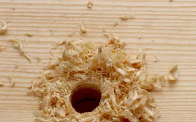 Sciure de bois autour d'un trou fraîchement percé dans une planche de pin. Il faudra reboucher ce trou bois pour repercer ailleurs.