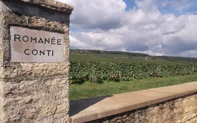 Entrée du vignoble Romanée-Conti, réputé pour produire la bouteille de vin la plus chère du monde. Paysage vallonné et ciel nuageux.