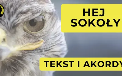 Zbliżenie na oko sokoła. Obok żółte prostokąty z napisem "HEJ SOKOŁY" i "TEKST I AKORDY".