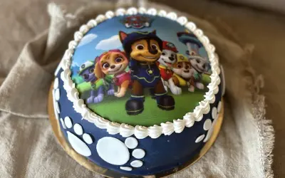 En hemmagjord Paw Patrol tårta med alla valparna på, redo för ett äventyr! Perfekt för ett litet fan.