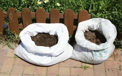Dwa worki z ziemią czekają na sadzenie ziemniaków.