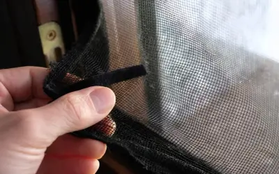 Jak zabezpieczyć okno dla kanarka? Sprawdzone metody i DIY