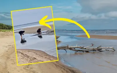 Dwie osoby badają płytką wodę na piaszczystej plaży. Morze Bałtyckie jest częścią oceanu, a ten widok pokazuje jego spokojne oblicze.