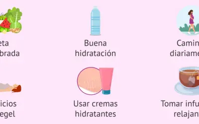 Consejos para la semana 28: dieta equilibrada, hidratación, caminar, ejercicios de Kegel, cremas y tés relajantes.