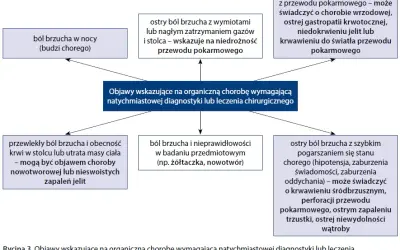 Ból brzucha: jakie badania wykonać? Przewodnik po diagnozie