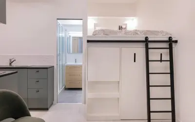 Un appartement fonctionnel avec lit mezzanine, échelle noire, cuisine grise et salle de bain visible.